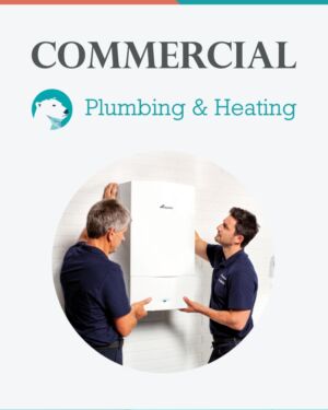 Commercial Boiler Cover Plan – Plumbing & Heating